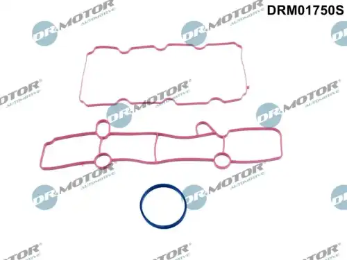 Прокладка коллектора DR. MOTOR DRM01750S
