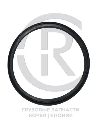 Прокладка термостата CR8973007930 CR