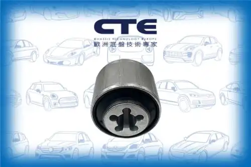Рычаг подвески CTE CBH34020