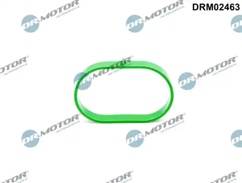 DR. MOTOR DRM02463