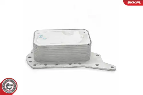 Масляный радиатор SKV 31SKV306