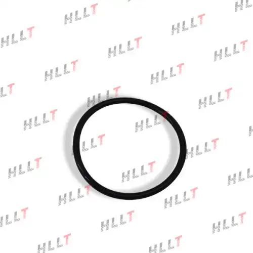 Кольцо уплотнительное вакуумного насоса HLKLC344 HLLT