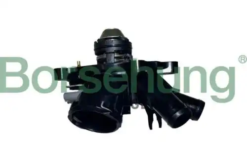 Термостат системы охлаждения BORSEHUNG B10557