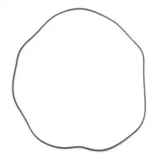 RIDEX 305P0353P