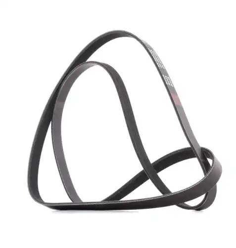 RIDEX 305P0110P