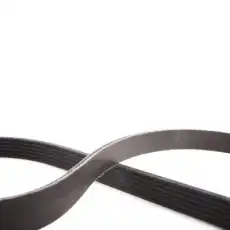 RIDEX 305P0171P
