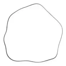 RIDEX 305P0216P