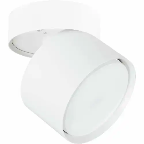 ARTE LAMP Спот INTERCRUS A5549PL-1WH