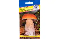 https://img.armtek.ru/img/article/733/73369236/230x230/73369236_0.webp