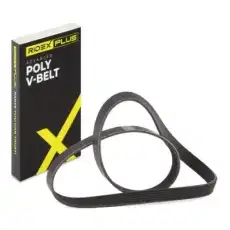 RIDEX 305P0289P
