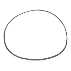 RIDEX 305P0055P