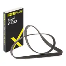 RIDEX 305P0067P