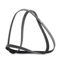 RIDEX 305P0069P