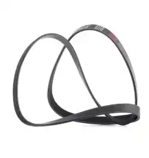 RIDEX 305P0073P