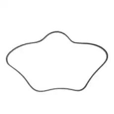 RIDEX 305P0079P