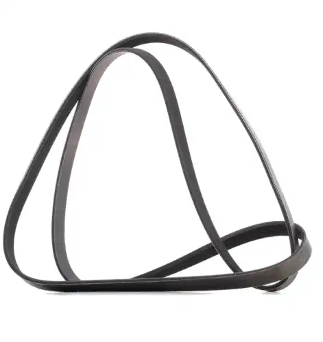 RIDEX 305P0095P