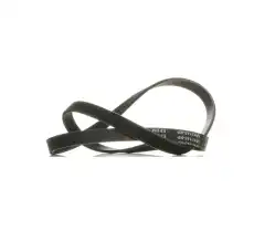 RIDEX 305P0111P