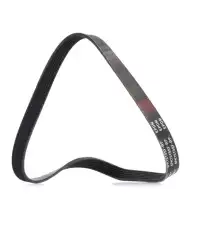 RIDEX 305P0116P
