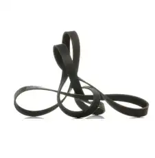 RIDEX 305P0119P