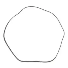 RIDEX 305P0147P