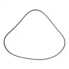 RIDEX 305P0176P