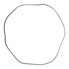 RIDEX 305P0178P