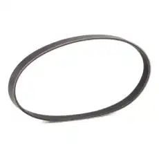 RIDEX 305P0390P