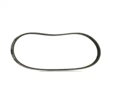 RIDEX 305P0479P