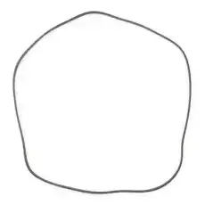 RIDEX 305P0492P