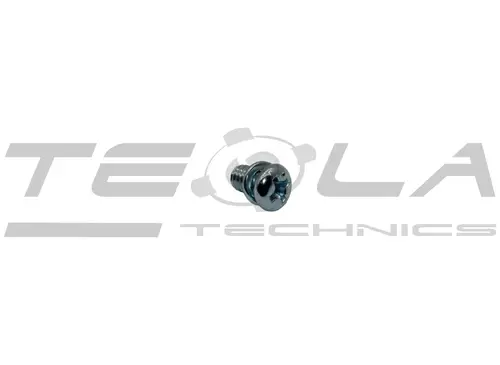 Винт c гроверной шайбой TT85225 TESLA TECHNICS