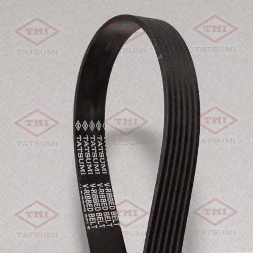 TATSUMI 6PK2563