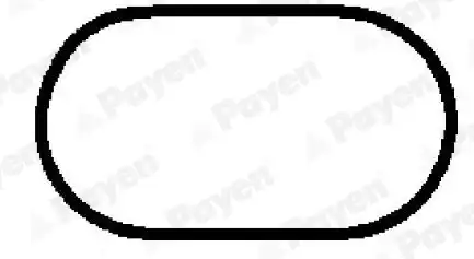Прокладка коллектора PAYEN JD5931