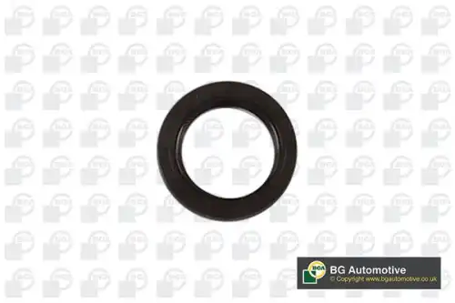 Катушка зажигания BGA OS5318