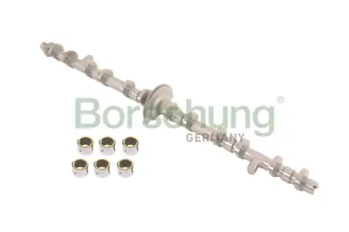 распредвал B12679 BORSEHUNG