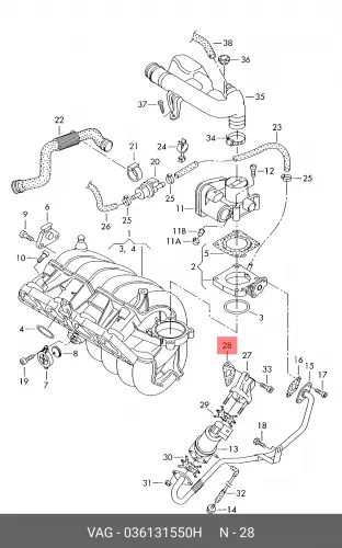 прокладка ДВС!\ Audi, VW 036131550H VAG