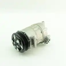 Компрессор кондиционера GM0750100001 DOMINANT