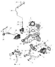 Прокладка, водяной насос 68027589AA CHRYSLER