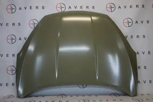 Капот J68-8402010-DYAV AVERS