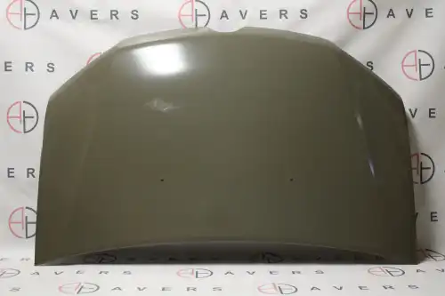 Капот 651002659RAV AVERS