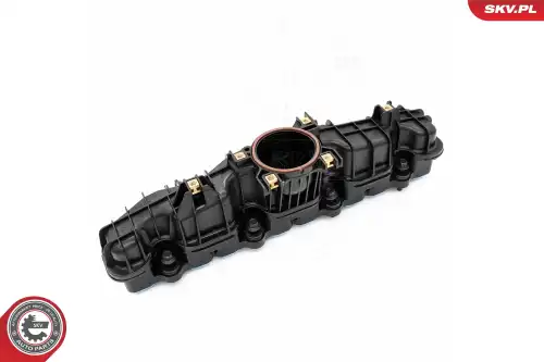 Модуль впускной трубы 49SKV089 SKV