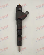 Топливная форсунка TDS 20798114