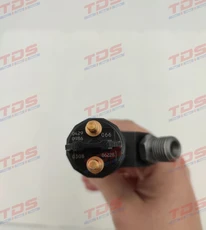 Топливная форсунка TDS 20798114