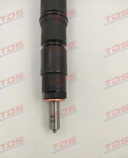 Топливная форсунка TDS 20798114