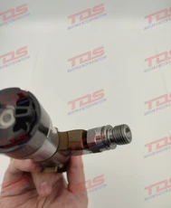 Топливная форсунка TDS 4307475