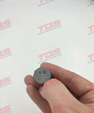 Клапан 1110010012 TDS