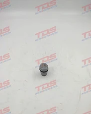 Клапан 1110010024 TDS
