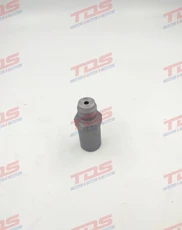 Клапан 1110010032 TDS