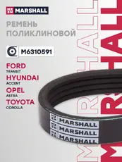 MARSHALL M6310591