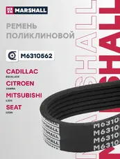 MARSHALL M6310562
