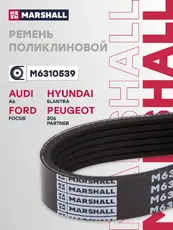 MARSHALL M6310539